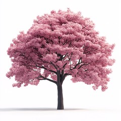 Fototapeta premium Pink Flowering Tree in Garden. Botanical Spring Blossom, Petals & Foliage - Vibrant Nature Art for Outdoors & Nature Lovers