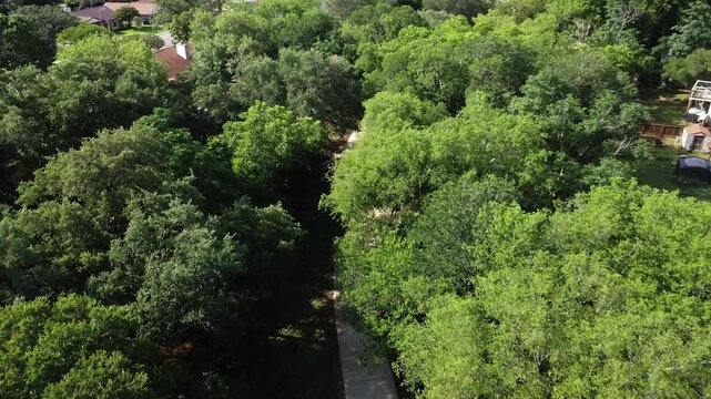 Aerial view of the Culebra Creek Tributary trail with green lush trees along the road