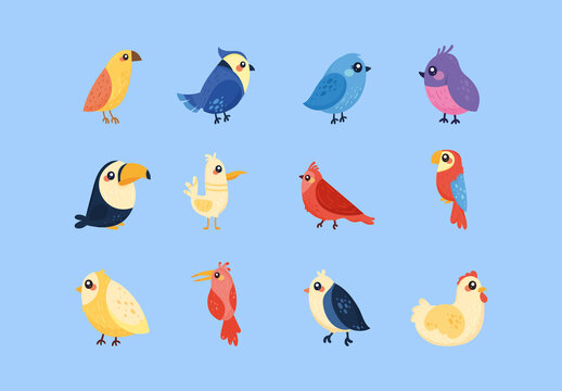 Colorful Cute Birds Animals Exotic Wildlife Illustrations Set
