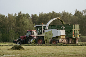 Modern Silage Harvesting with Forage Harvester and Tractor in Green Meadow – Agricultural...