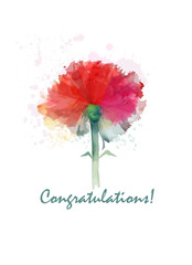 One carnation flower greeting card. hand drawn. Not AI, Vector illustration.