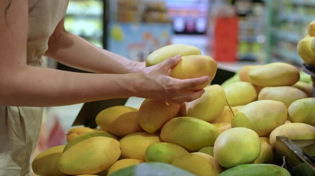 Tourist woman examing mango fruit, squeezing to test ripeness before buy. Fresh tropical fruit selection, grocery shopping, travel destination in grocery market, local produce quality checked