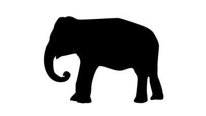 southeast asian animals silhouette black elephant asian wildlife silhouette. endangered asian species silhouette.