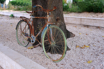 A rusty old bike leaning against a tree on a shingle path