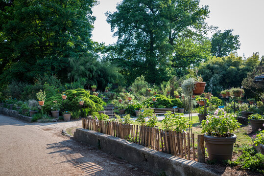 Potted plants, Parc floral de Paris, park and botanical garden in the Bois de Vincennes, the largest public park in the city, Paris, France