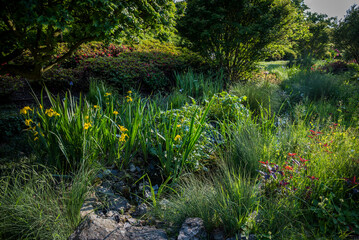 Wild flower garden, Parc floral de Paris -  park and botanical garden in the Bois de Vincennes, the...