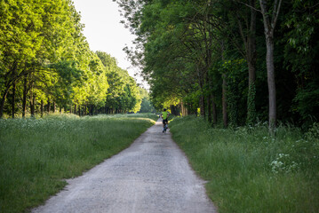 Cycling in Bois de Vincennes, the largest public park in the city, Paris, France