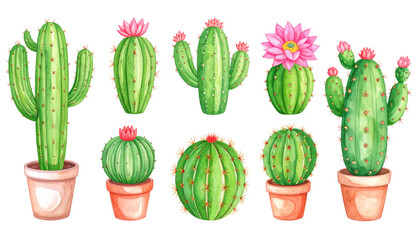 Fototapeta premium Watercolor Cactus Collection with Pink Flowers