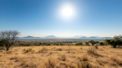Fototapeta premium Sunny Savanna Landscape With Mountains