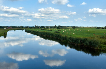 rural landscape with pastures by the Notec River