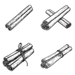 Hand Drawn Cinnamon Sticks Illustrations