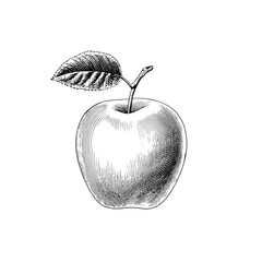 Vintage engraved illustration of a classic apple showcasing intricate detailing and a timeless design ideal for decor and branding
