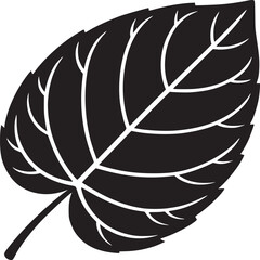 A black leaf with white veins against a white background in a minimalist style illustration