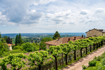 Explore the beautiful scenic vineyard landscape featuring rolling hills beneath a cloudy sky