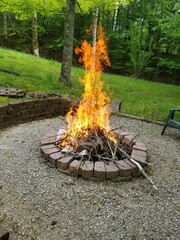 barbecue in the forest