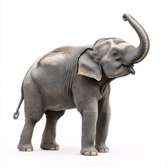 Obraz premium Majestic Elephant in the Wild. A Curious Herbivore with Towering Tusks and Flapping Ears - Capturing the Essence of African and Asian Wildlife Conservation