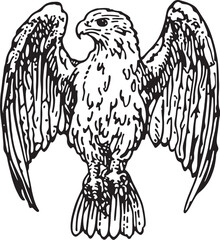 eagle vector illustration