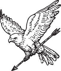eagle vector illustration