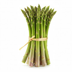 Asparagus bound together by a band on white background