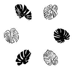 Monstera leaf black and white vector_04