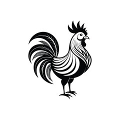 rooster isolated on white background