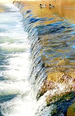 Wildlife. Mountain river. Thresholds of water sources. Transparent water. Movement of water in nature. Close-up. refreshing condition Wallpaper. Postcard
