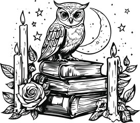 owl on a white background