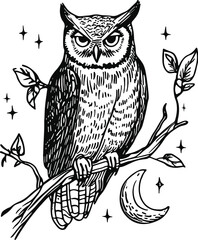 owl on a white background