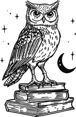 owl on a white background