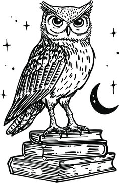 owl on a white background