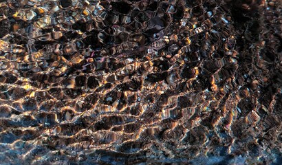 Colorful reflection in the moving surface of the water. Transparent water. Sandy bottom. Brilliant rays of sunlight. Spring in the wilderness. Abstract textured background
