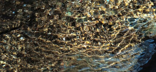 Colorful reflection in the moving surface of the water. Transparent water. Sandy bottom. Brilliant rays of sunlight. Spring in the wilderness. Abstract textured background