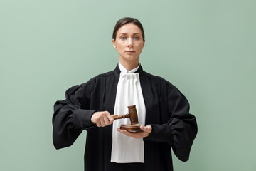 Judge with mallet and sound block on light green background