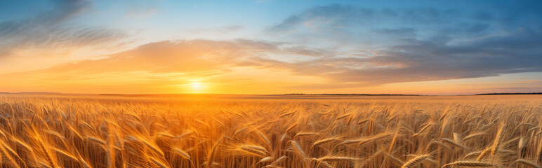Illustration of desserts