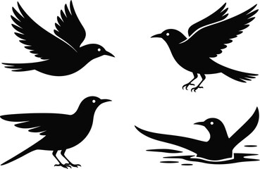 Obraz premium Four black bird silhouettes in various poses against a white background in a vector illustration