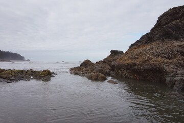 beach and rocks