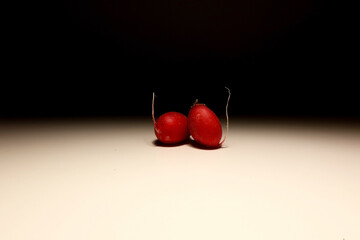 Two fresh red radishes with roots on white background – minimalist food concept, organic raw...