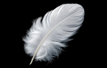 Obraz premium Feather drifting gently in black space, illustrating deceleration and gravity's tender embrace