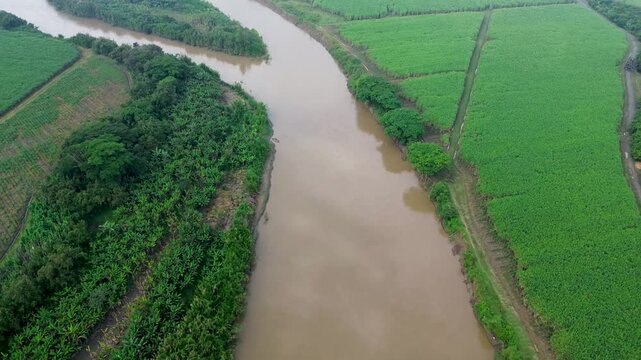 Flying Over Cauca River and Crops. High quality 4k footage