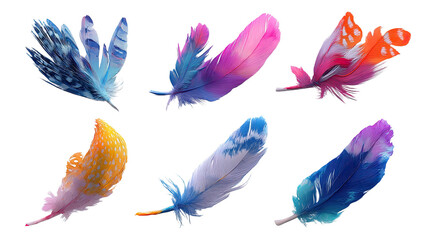 Collection of Six Colorful and Ornate Bird Feathers on Transparent Background