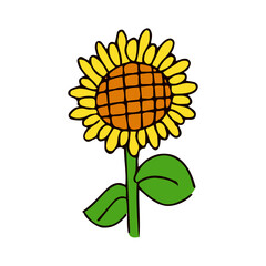 ひまわりのイラスト素材