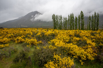 New Zealand Road Trip Adventure: 100 Stunning Photos Capturing the Natural Beauty, Colors, and Wild Landscapes Across the South and North Islands — From Mountains to Beaches and Forests