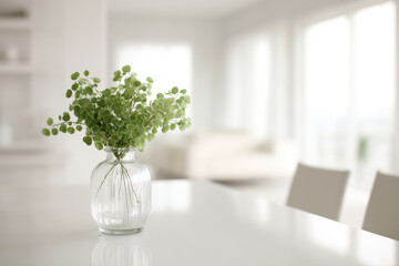 serene minimalist interior design featuring stylish green plant as focal point on clean ultrabright background