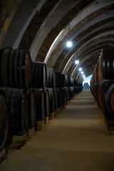 Visit of wine cellar with old large oak barrels, production of fortified dry or sweet tasty marsala wine in Marsala, Sicily, Italy
