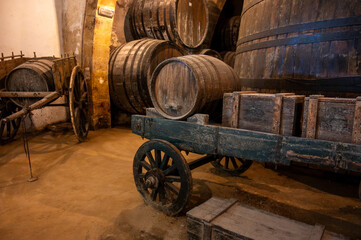 Visit of wine cellar with old large oak barrels, production of fortified dry or sweet tasty marsala...
