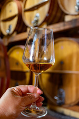 Visit of wine cellar with old large oak barrels, hand holding glass of fortified dry or sweet tasty marsala wine from barrels in Marsala, Sicily, Italy
