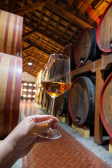 Visit of wine cellar with old large oak barrels, glass of fortified dry or sweet tasty marsala wine from barrels in Marsala, Sicily, Italy