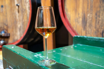 Visit of wine cellar with old large oak barrels, glass of fortified dry or sweet tasty marsala wine from barrels in Marsala, Sicily, Italy