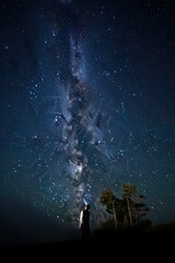 Person standing on a grassy hill at night looking up at a vibrant, star-filled sky with the Milky Way galaxy stretching vertically overhead near a group of tall trees
