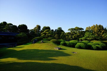 Serene Japanese garden landscape with manicured bushes, rounded pine trees, large rocks, and lush green grass under clear blue sky